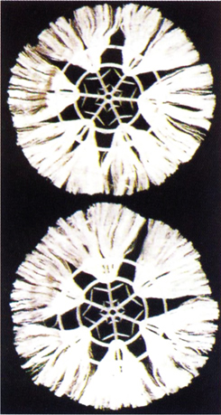 �M������