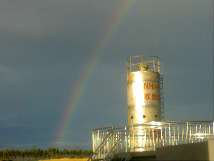 �����������B�VҺ̎������