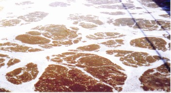 �к��͸��u�����״���ˮ̎������