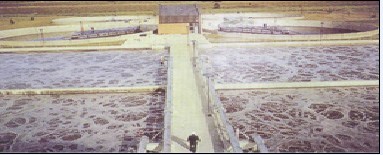 �Ĵ���ɽ���I(y��)�жΏUˮ̎������